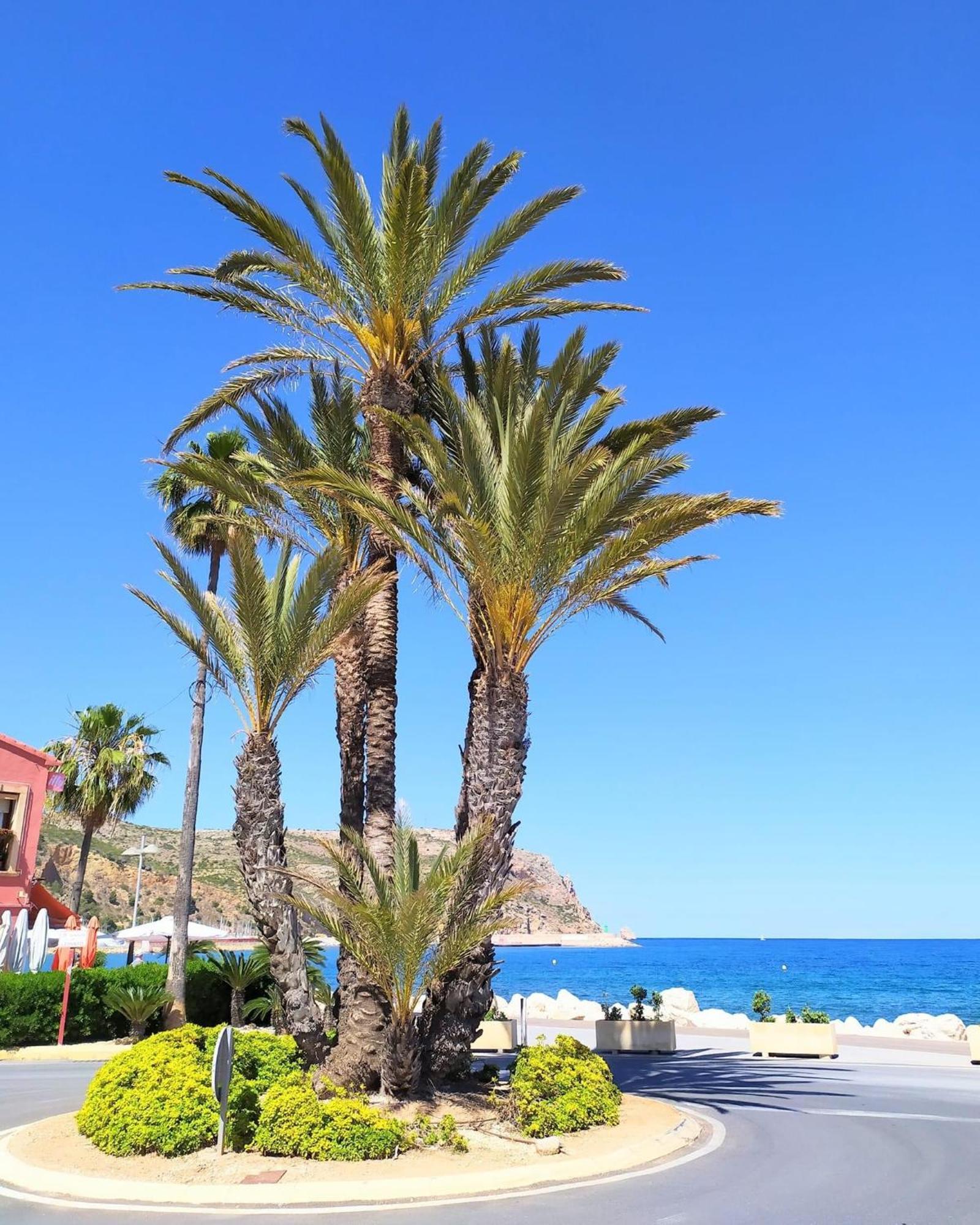 Javea Arenal Beach Екстер'єр фото